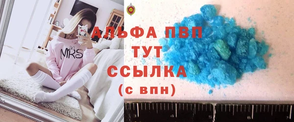 PSILOCYBIN Верея